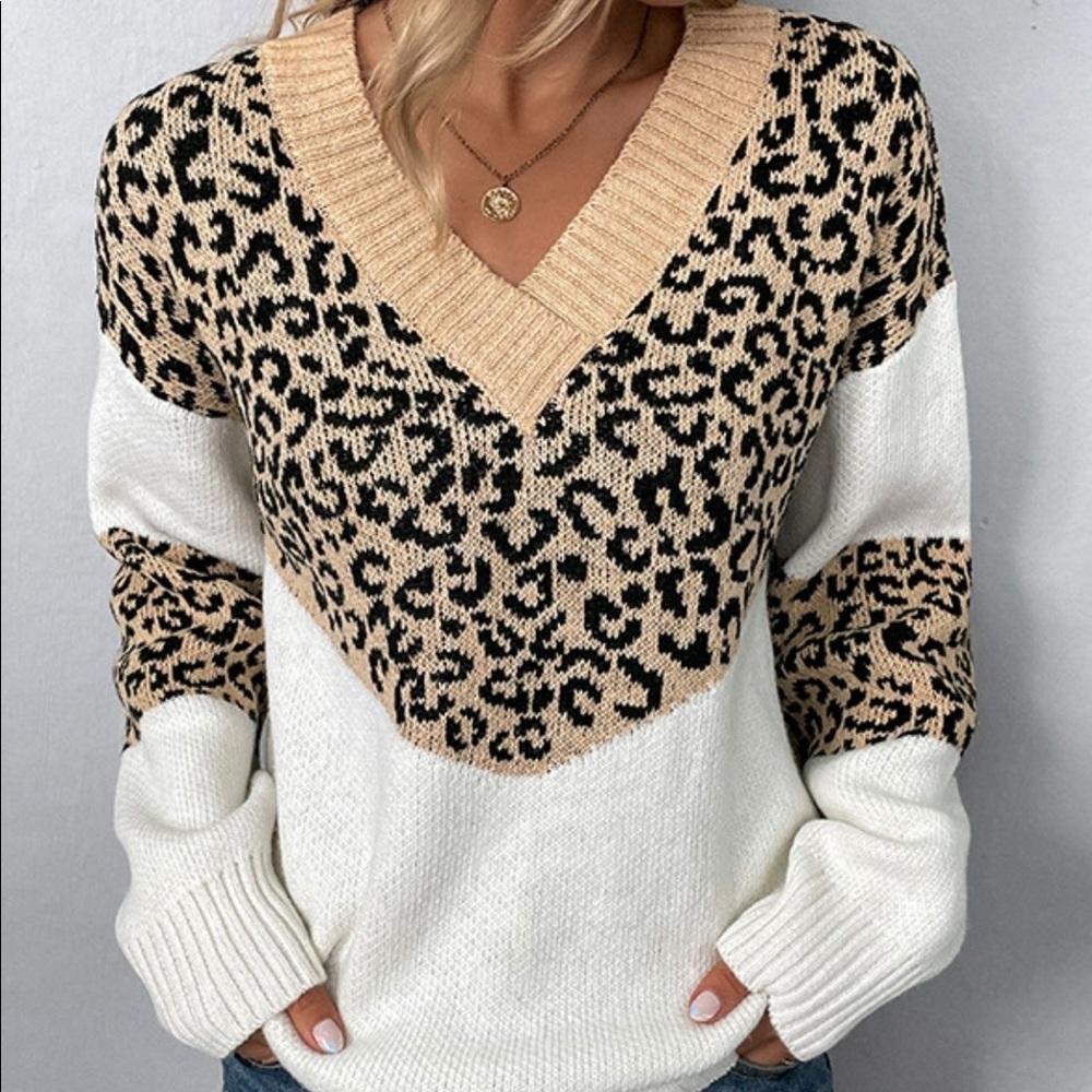 Leopard Color Block V-Neck Ribbed Trim Sweater - Picture 4 of 10